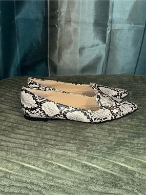 Pointed Snake-Print Ballet Flats in Black & White